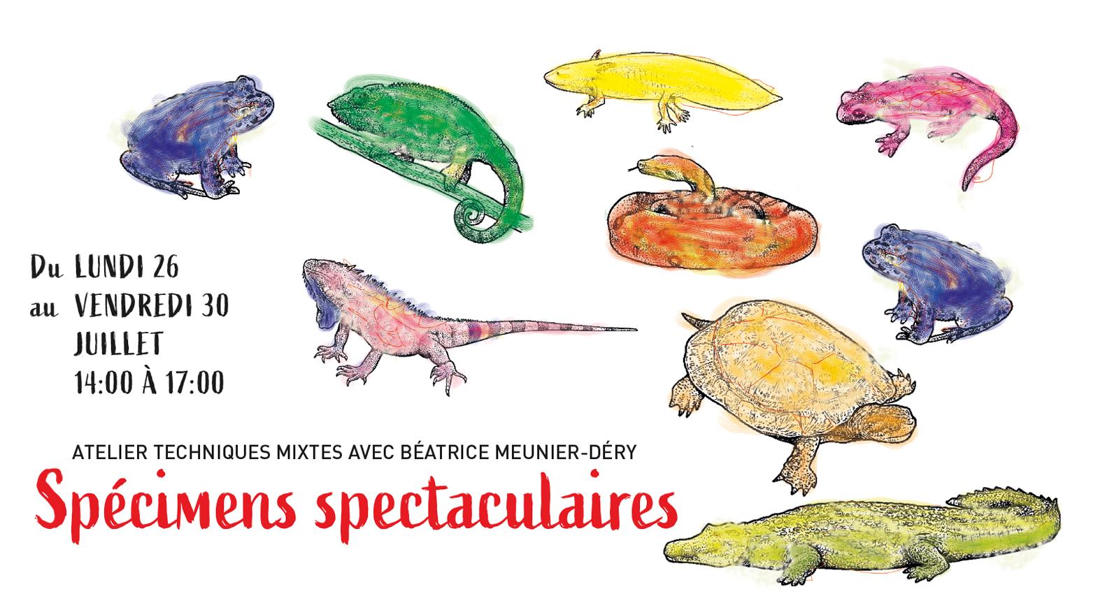 Specimens Spectaculaires