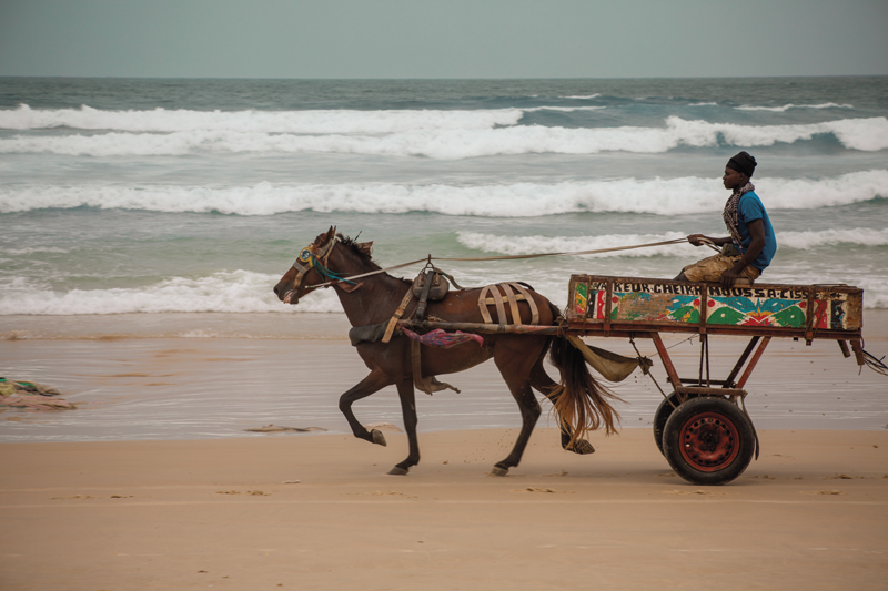 Le Métropolitain et le B.A.R vous convie à l'exposition captivante « Borom Sarrett » du jeune photographe Noreyni Seck. Plonger dans un voyage visuel saisissant à les charretiers et leurs chevaux au sein des paysges urbains de Saint Louis du Sénégal.